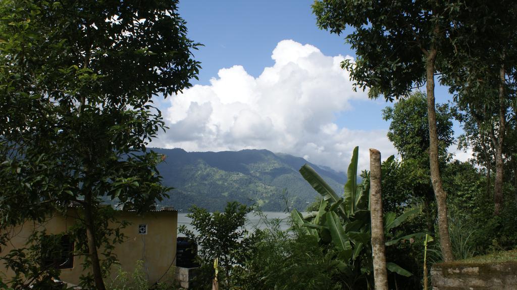 Peace Guest House Pokhara Bagian luar foto