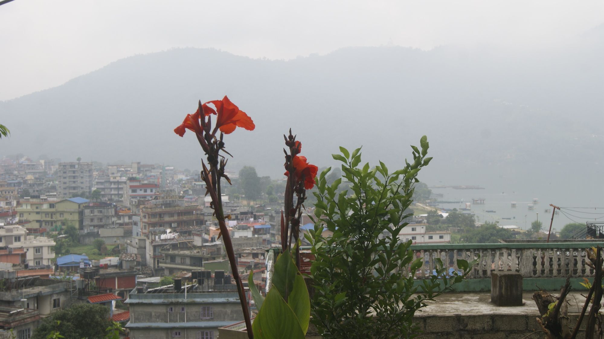 Peace Guest House Pokhara Bagian luar foto